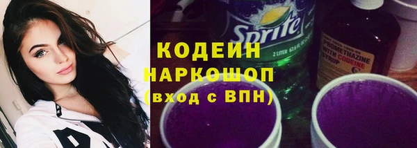 хмурый Каменногорск