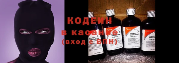 хмурый Каменногорск