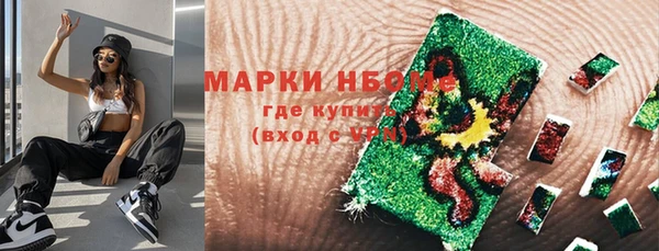 хмурый Каменногорск