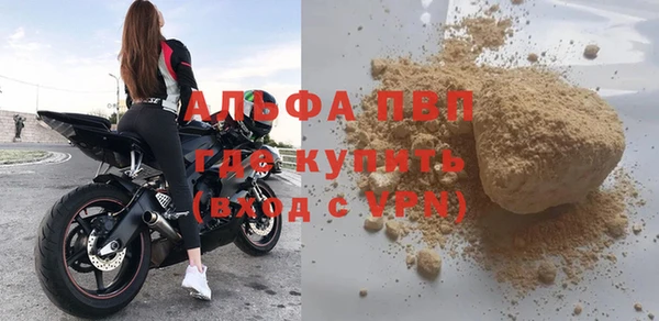 хмурый Каменногорск