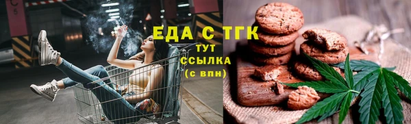 хмурый Каменногорск