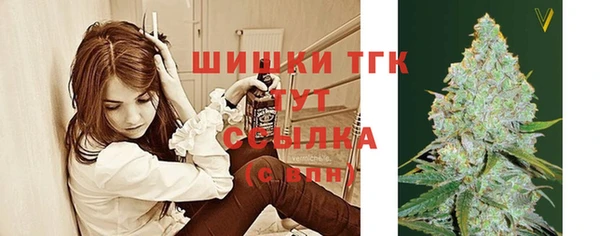 хмурый Каменногорск