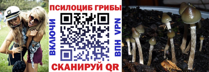 Псилоцибиновые грибы мухоморы  Купить закладки  Карпинск 